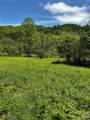 1659 Mountain Creek Road - Photo 15