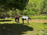 1659 Mountain Creek Road - Photo 3