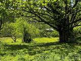 1659 Mountain Creek Road - Photo 21