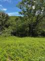 1659 Mountain Creek Road - Photo 9