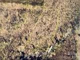 0 Pine Hill Avenue - Photo 1