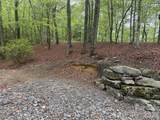 39 Black Bear Ridge Trail - Photo 3