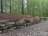39 Black Bear Ridge Trail - Photo 4