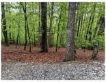 39 Black Bear Ridge Trail - Photo 5