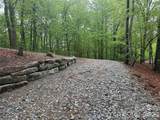 39 Black Bear Ridge Trail - Photo 7