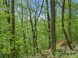 TBD Holly Dale Drive - Photo 15