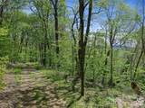 TBD Holly Dale Drive - Photo 8