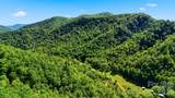 0 Buffalo Cove Road - Photo 13