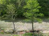 99999 Roaring Fork Road - Photo 13