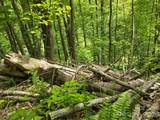 99999 Roaring Fork Road - Photo 18