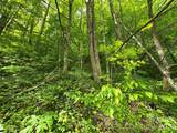 99999 Roaring Fork Road - Photo 20
