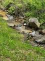 99999 Roaring Fork Road - Photo 5