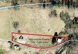 176 Laurel Branch Cemetery Road - Photo 1