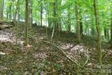 7 Hallaran Drive - Photo 10