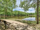 8001 Avanti Drive - Photo 44