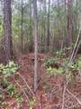 2426 Ore Bank Road - Photo 13