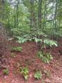 2426 Ore Bank Road - Photo 17