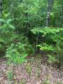 2426 Ore Bank Road - Photo 8