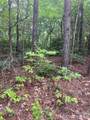 2426 Ore Bank Road - Photo 10