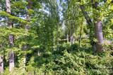 17 Tulip Poplar Trail - Photo 7