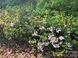 000 Gettys Road - Photo 3