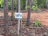 TBD Vein Mountain Road - Photo 1
