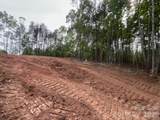 TBD Vein Mountain Road - Photo 7