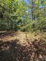 105 Scouts Trail - Photo 14