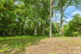 99999 Wild Goose Way - Photo 5