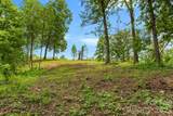 99999 Wild Goose Way - Photo 9