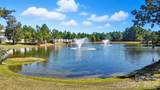 44449 Oriole Drive - Photo 44
