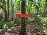 132 Rumbling Bald Road - Photo 22