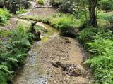 132 Rumbling Bald Road - Photo 4