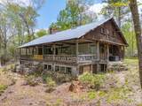 1971 Swiss Pine Lake Drive - Photo 4