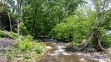 3206 Fork Mountain Road - Photo 31