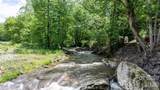 3206 Fork Mountain Road - Photo 32