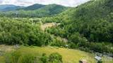 3206 Fork Mountain Road - Photo 44