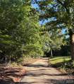 133 Oakwell Drive - Photo 7
