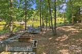 36 Water Thrush Road - Photo 32