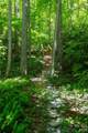 152 Middle Creek Cove - Photo 4