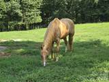 340 Harrison Road - Photo 44