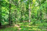 749 Hearthstone Drive - Photo 21