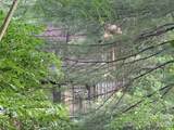 384 Knob Creek Road - Photo 5