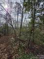 Lot 1 Kerlee Lane - Photo 6