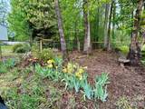 22 Timberleaf Drive - Photo 43