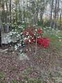 22 Timberleaf Drive - Photo 46