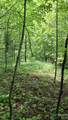 491 Signal Ridge Road - Photo 13