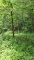 491 Signal Ridge Road - Photo 9
