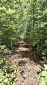 272 Kako Ridge - Photo 11