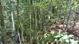 272 Kako Ridge - Photo 12